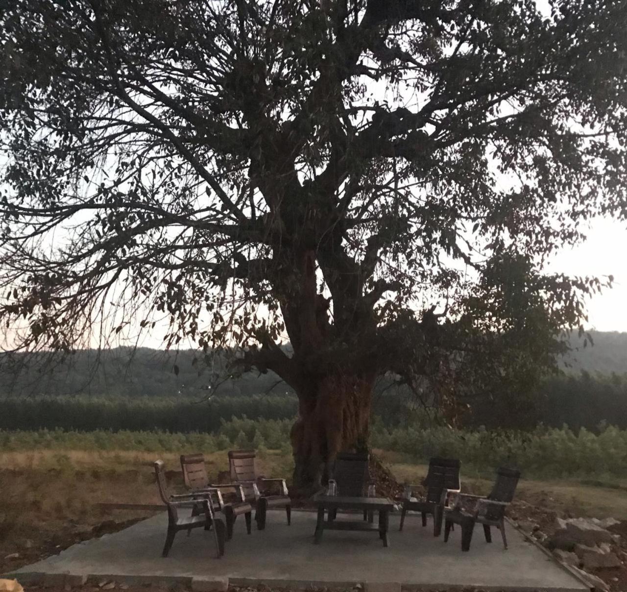 Ammara Eco Stays Avathi Dış mekan fotoğraf